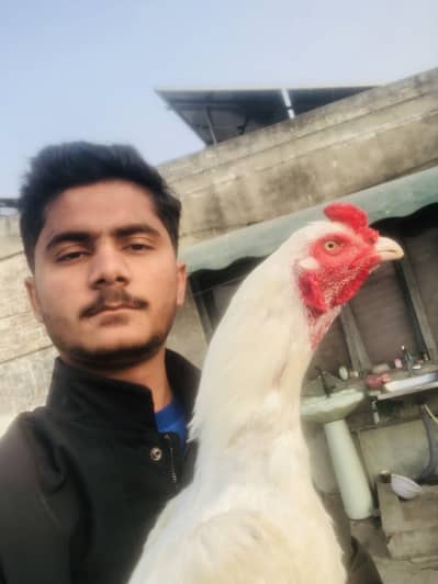 Ahmad shah