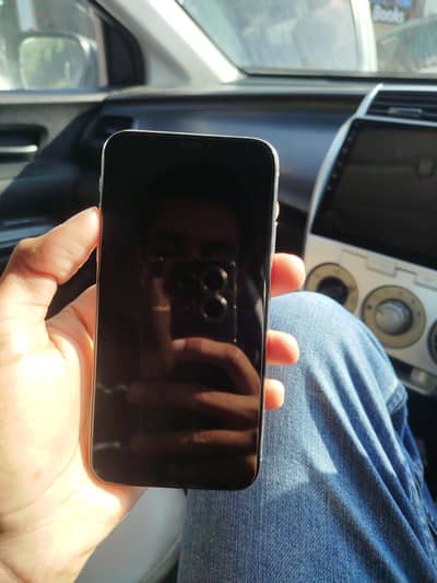 i phone XS 10/10 condition lush phone