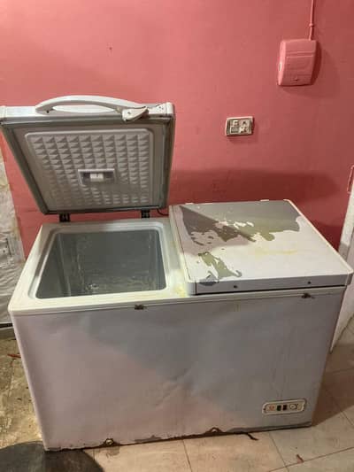 haier freezer double door