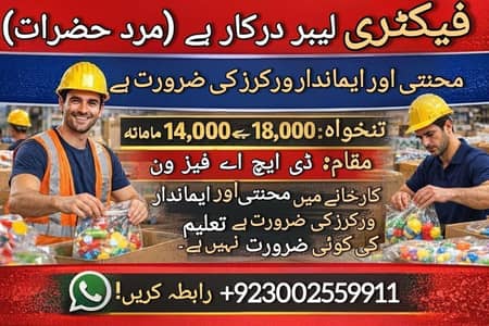 Factory Labour Required (Male)