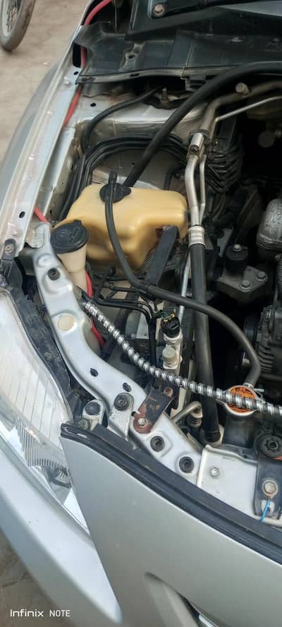 Chat pillar original hai