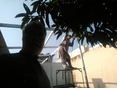 professional steel welding & staircase work-best quality