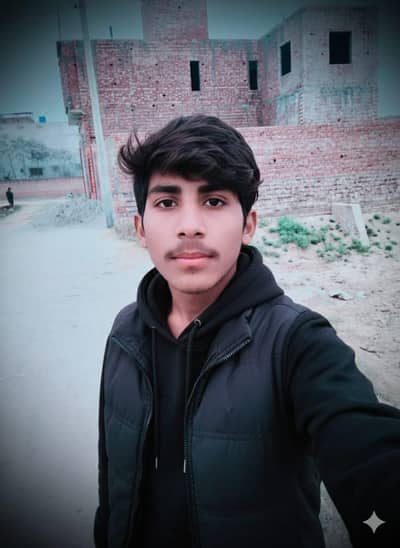 assignment writing work available in  cheapest rate