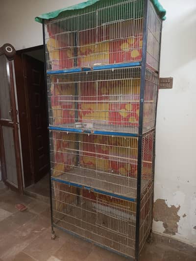 steel Cage multi level x8