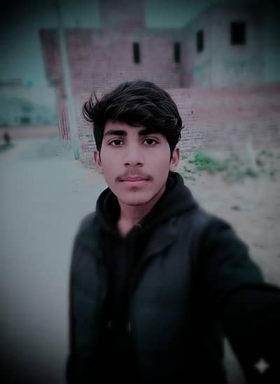 assignment writing work available in  cheapest rate