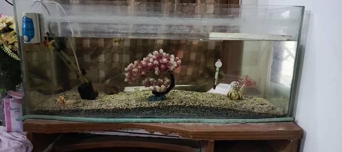 3ft Aquarium