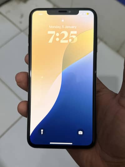 xs max 256 gb pta