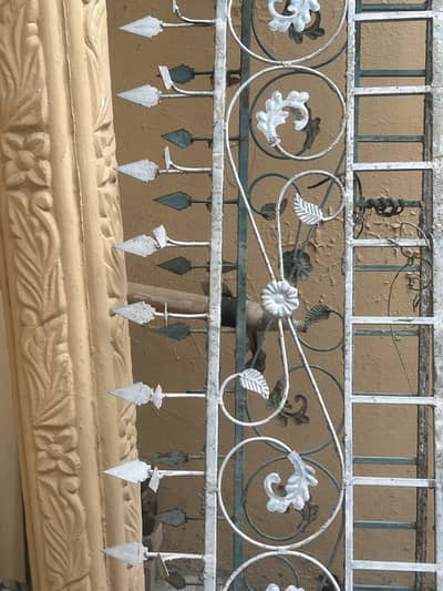 House front safety grill