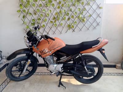 YBR125G 2023