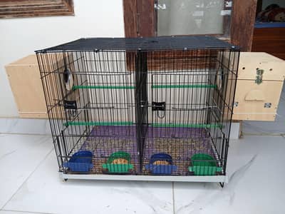 rosy faced lovebirds with cage
