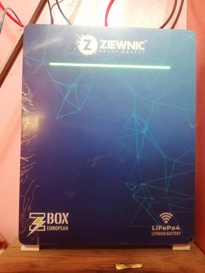 ZIEWNIC 48V Z-BOX 100 AH