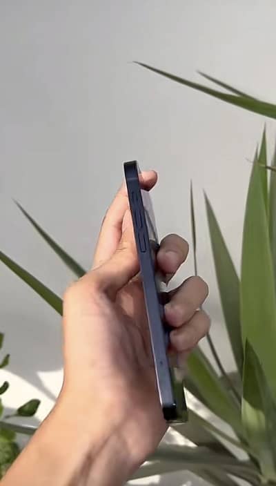 iPhone 12 non pta jv