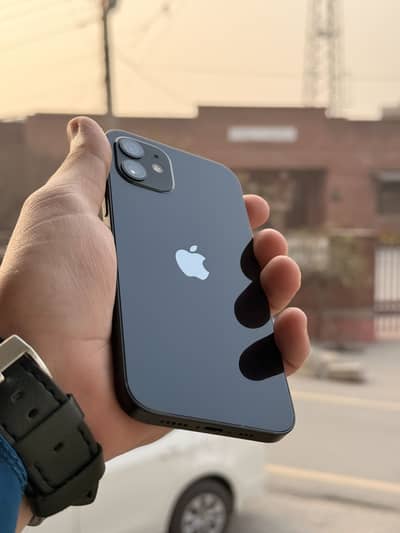 iPhone 12 PTA approved