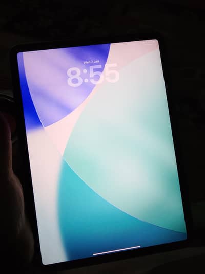 ipad pro (11 inch ) ( 4th generation