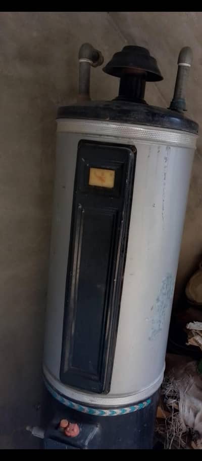 30 Litter Gas Geyser for sale