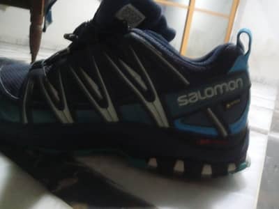 Salomon Men's XA PRO 3D Gore-TEX Shoes, W. App0314,5308318