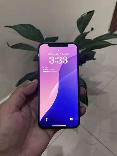 Iphone 12 jv PTA approved