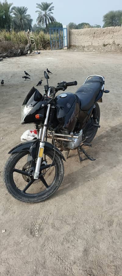 Yamaha YBR 125G 2024