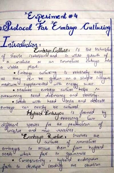 handwriting services