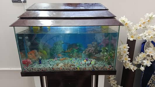 Full Aqurium For Sale With Fishes and Accecories