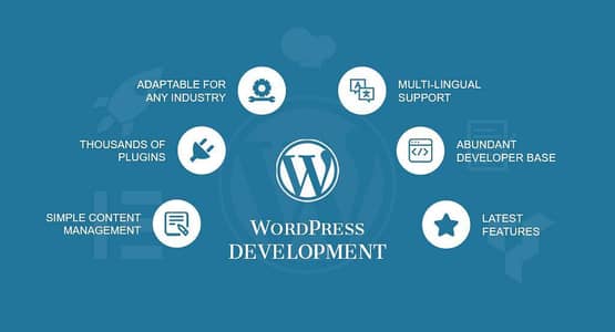 WordPress developer and SEO