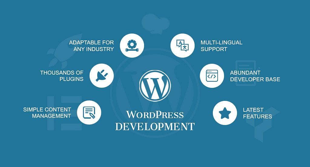 WordPress developer and SEO 0