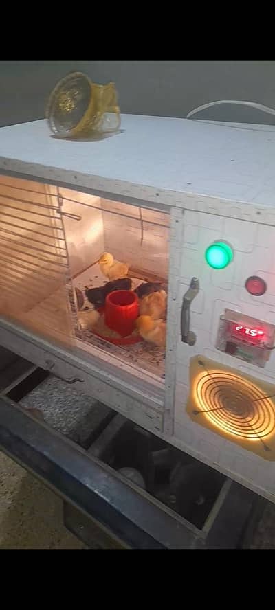 heating brooder