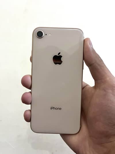 IPhone 8 Pta Approved 64gb