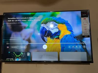 TCL 50 inch 4K UHD LED Smart TV