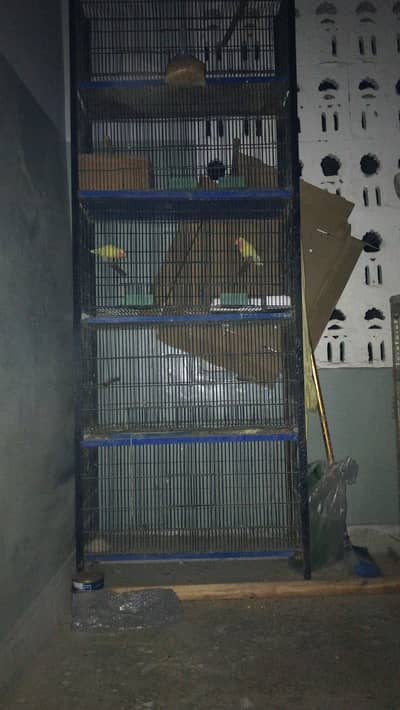 Cage for sell 1 portion and 2 portion