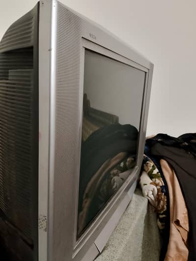 contact what's app only