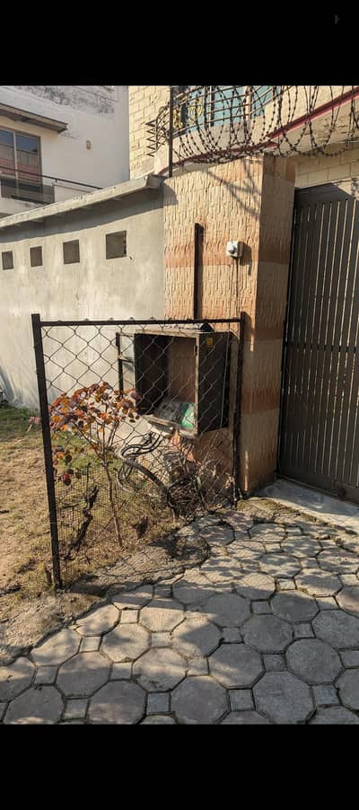 Steel Fence Wire, Chain Link Wall Fencing