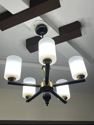 Premium Chandelier  ( Light up your home with style!)