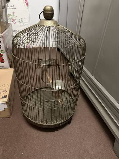 Parrot cage