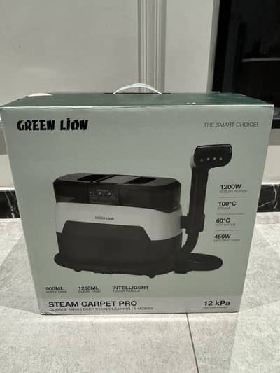 Deep cleaning steamer