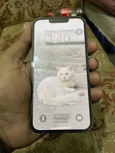 13 pro physical dual PTA