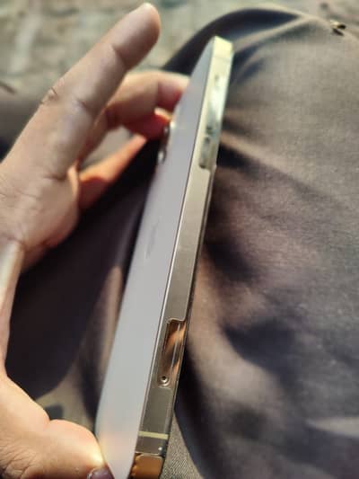 iPhone 12 Pro official pta approved