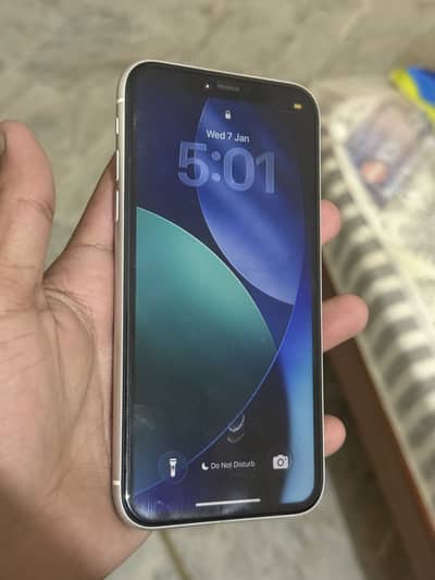 Iphone 11 non pta Jv