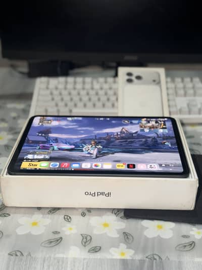 Ipad Pro M4 256GB