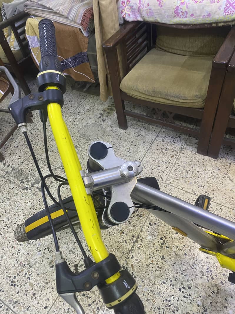 Zoom Bicycle 1