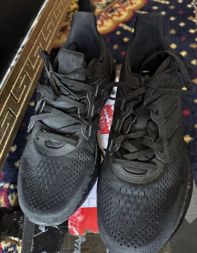 Adidas Shoes for sale