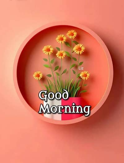 mobile sale and exchange available