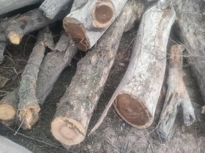 lakri ki kharido farokht