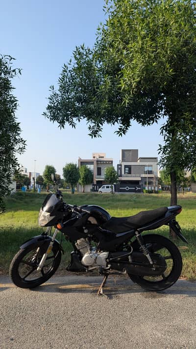 Yamaha YBR 125 | 2023 Model | Genuine Condition