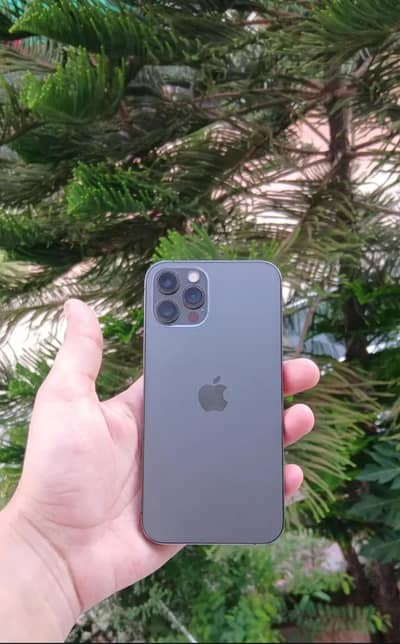 IPHONE 12 PRO 256 GB