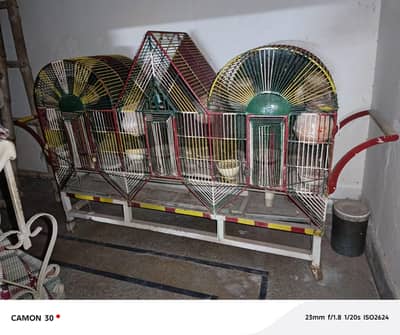 parrots cage