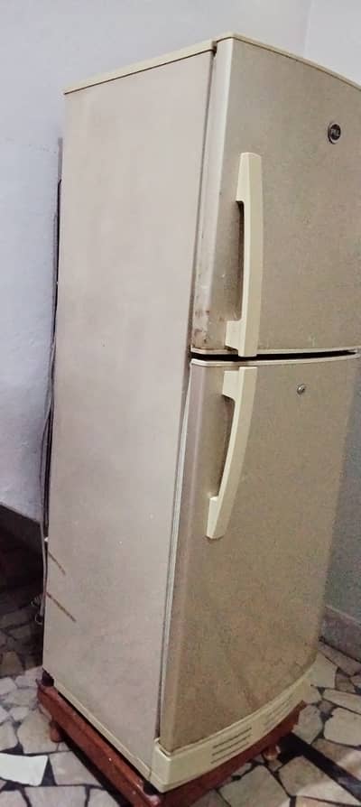 pel medium fridge. .