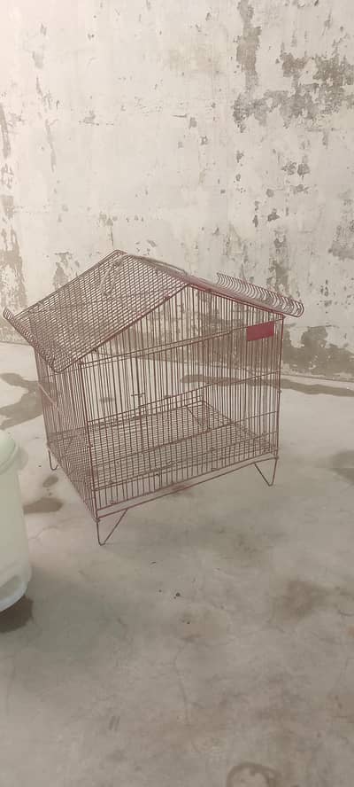 bird cage