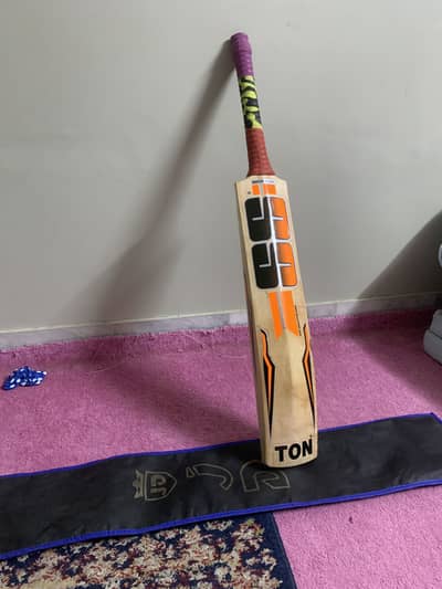 Kashmir willow bat