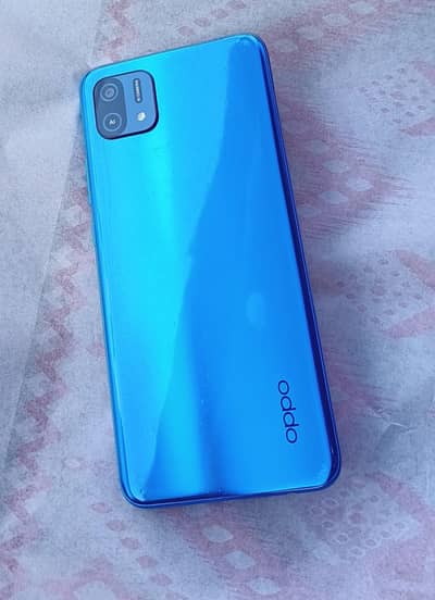 03158160040 call/watsapp